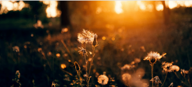 Screenshot 2024-10-01 201031