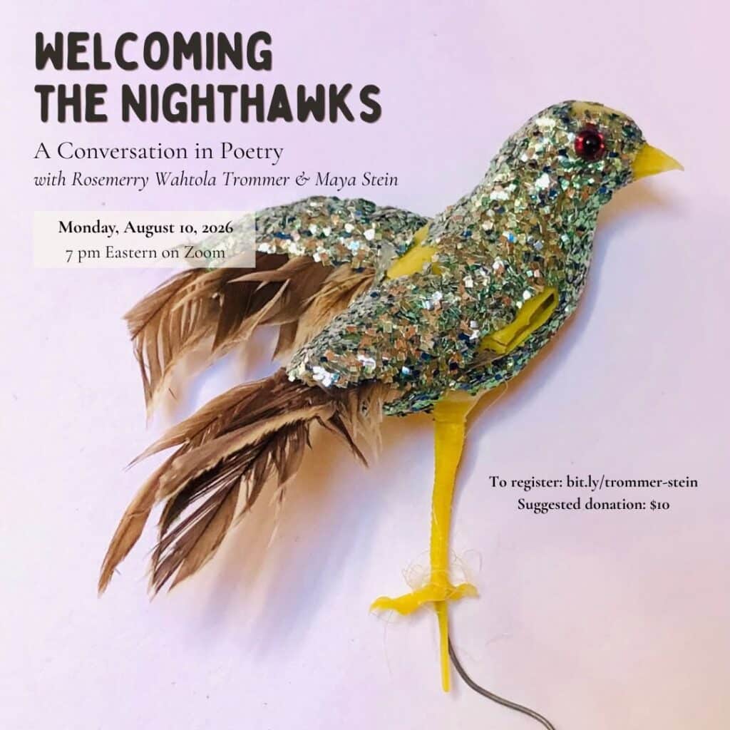 NIGHTHAWKS IN AUGUST: In Conversation with Maya Stein
