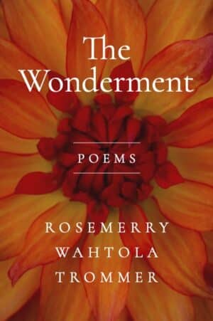 The Wonderment